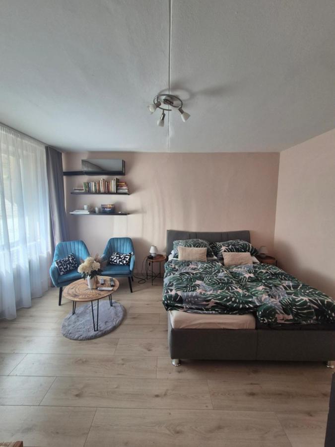 Apartment Palárikova - B&B Košice