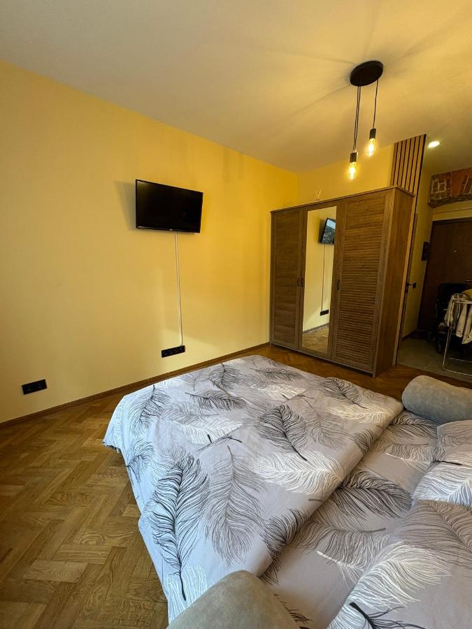 Стильна однокімнатна квартира - Ferienwohnung Lwiw