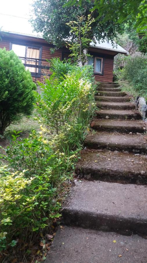Cabañas Llifenativo - B&B Futrono