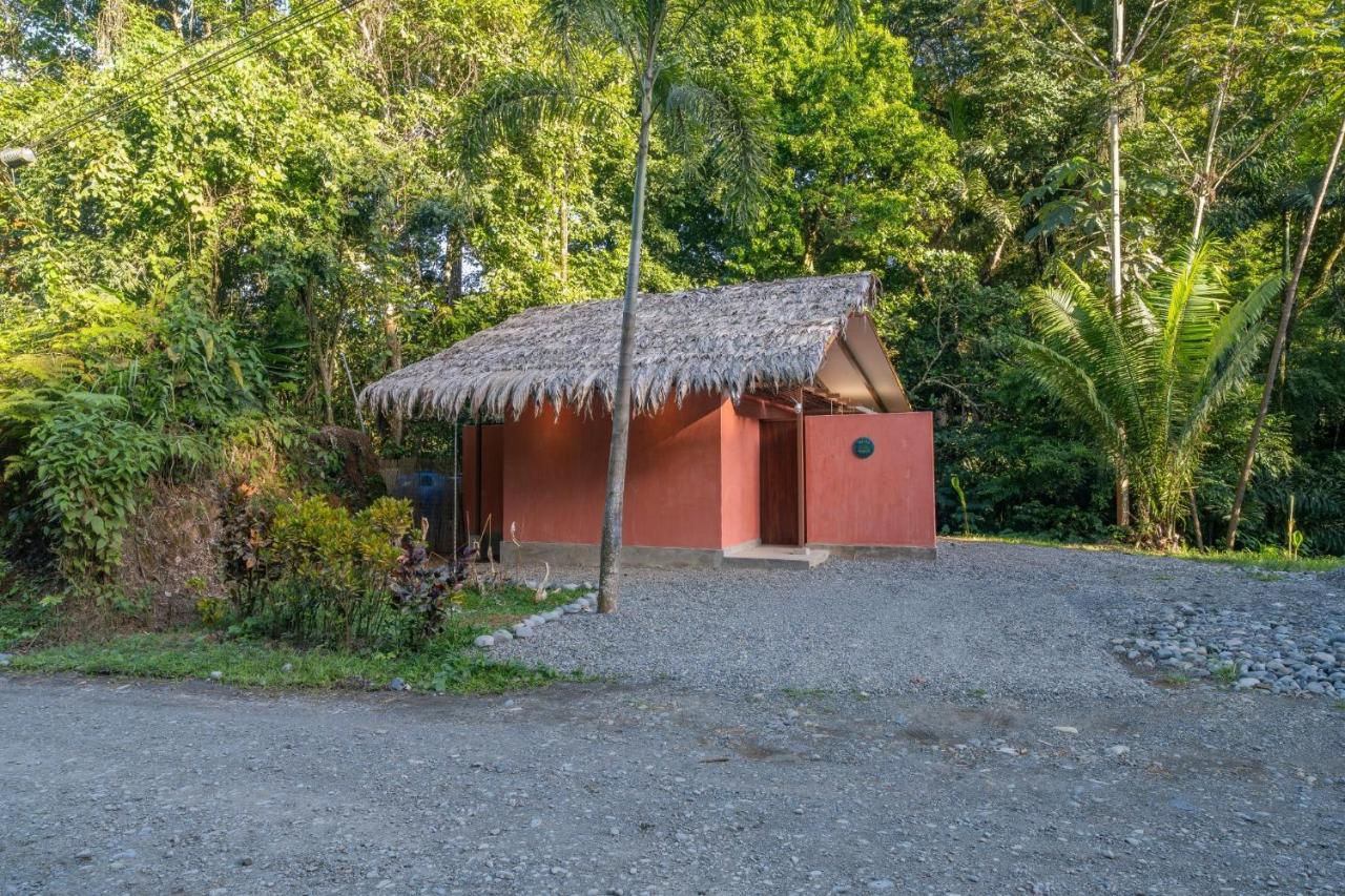 Blue Lotus Near Punta Uva - B&B Puerto Viejo de Sarapiqui