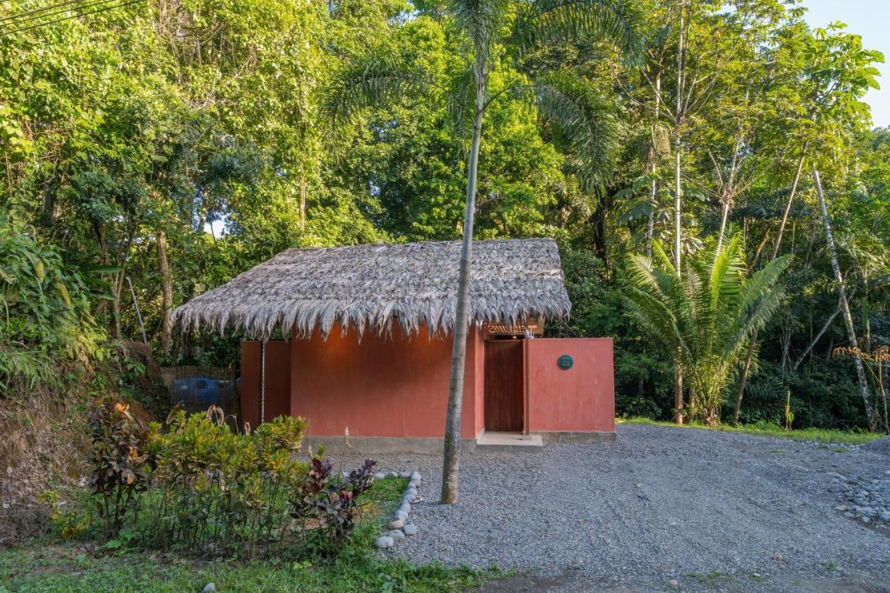 Blue Lotus Near Punta Uva - B&B Puerto Viejo de Sarapiqui