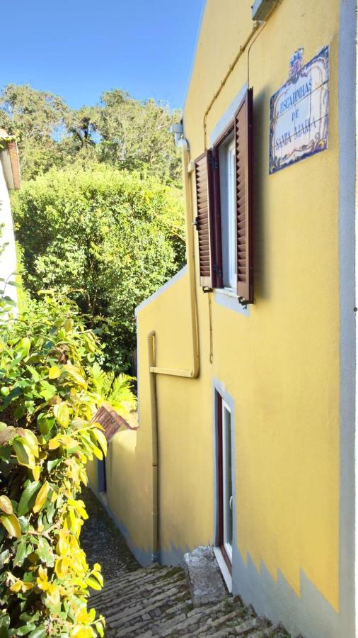Garden apartment by Moorish Castle trails - B&B Sintra