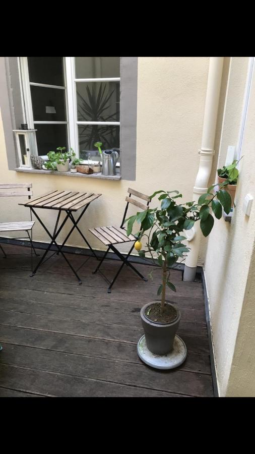 Cosy Apartment at city center Baden-Baden! - Ferienwohnung Baden-Baden