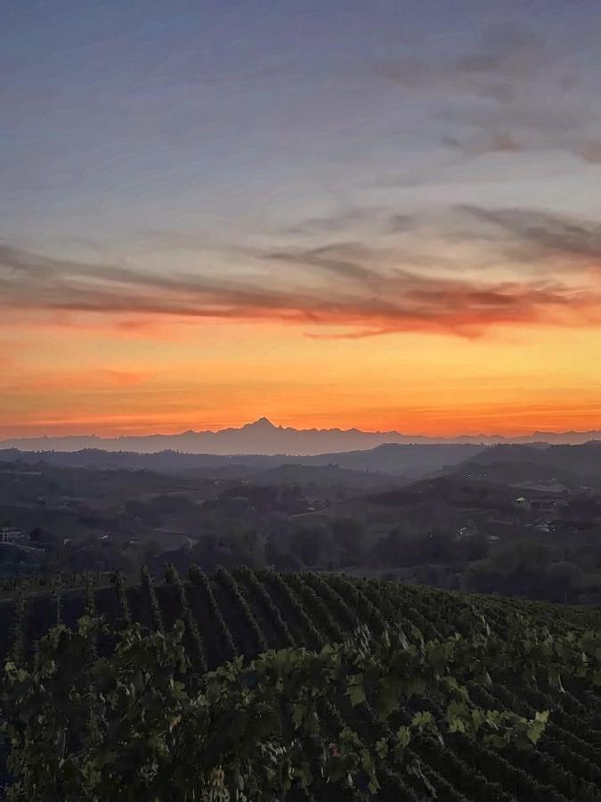 Agriturismo Tenuta ENA - B&B Nizza Monferrato