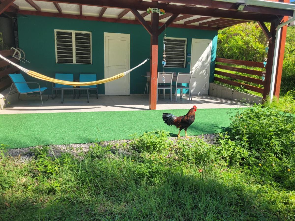 Appartamento con 1 Camera da Letto e Vista Giardino 