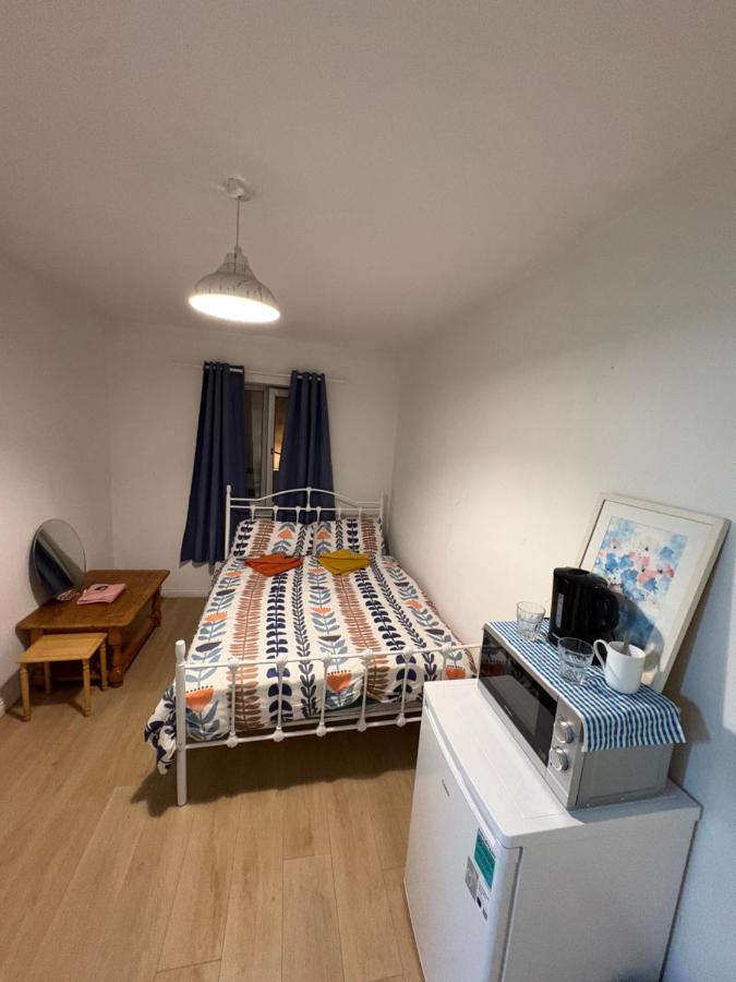 HA PENNY BRIDGE HOUSE , Elegant Private Double Room with River Liffey View - B&B Dublin