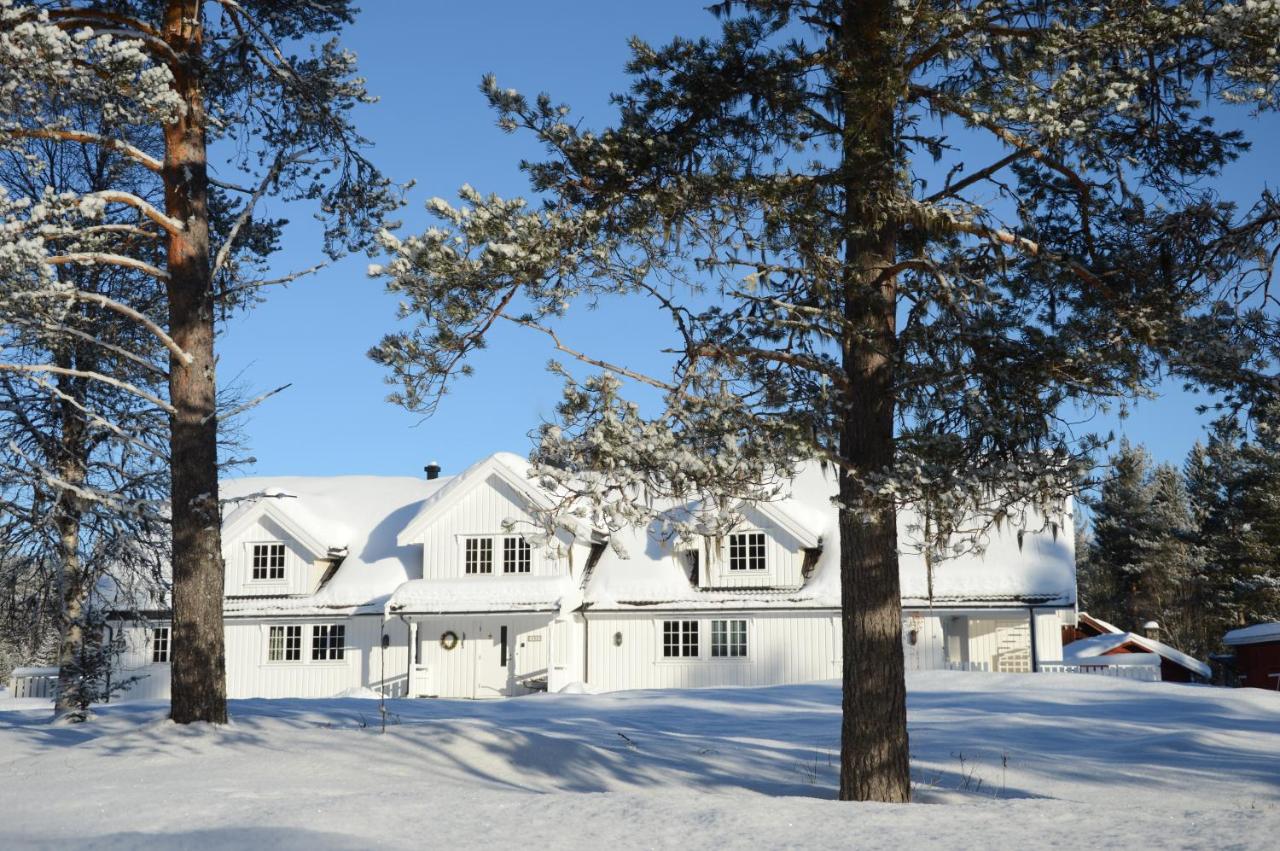 Winter at Fulufjellet National Park Lodge - Ferienwohnung Ljørdalen
