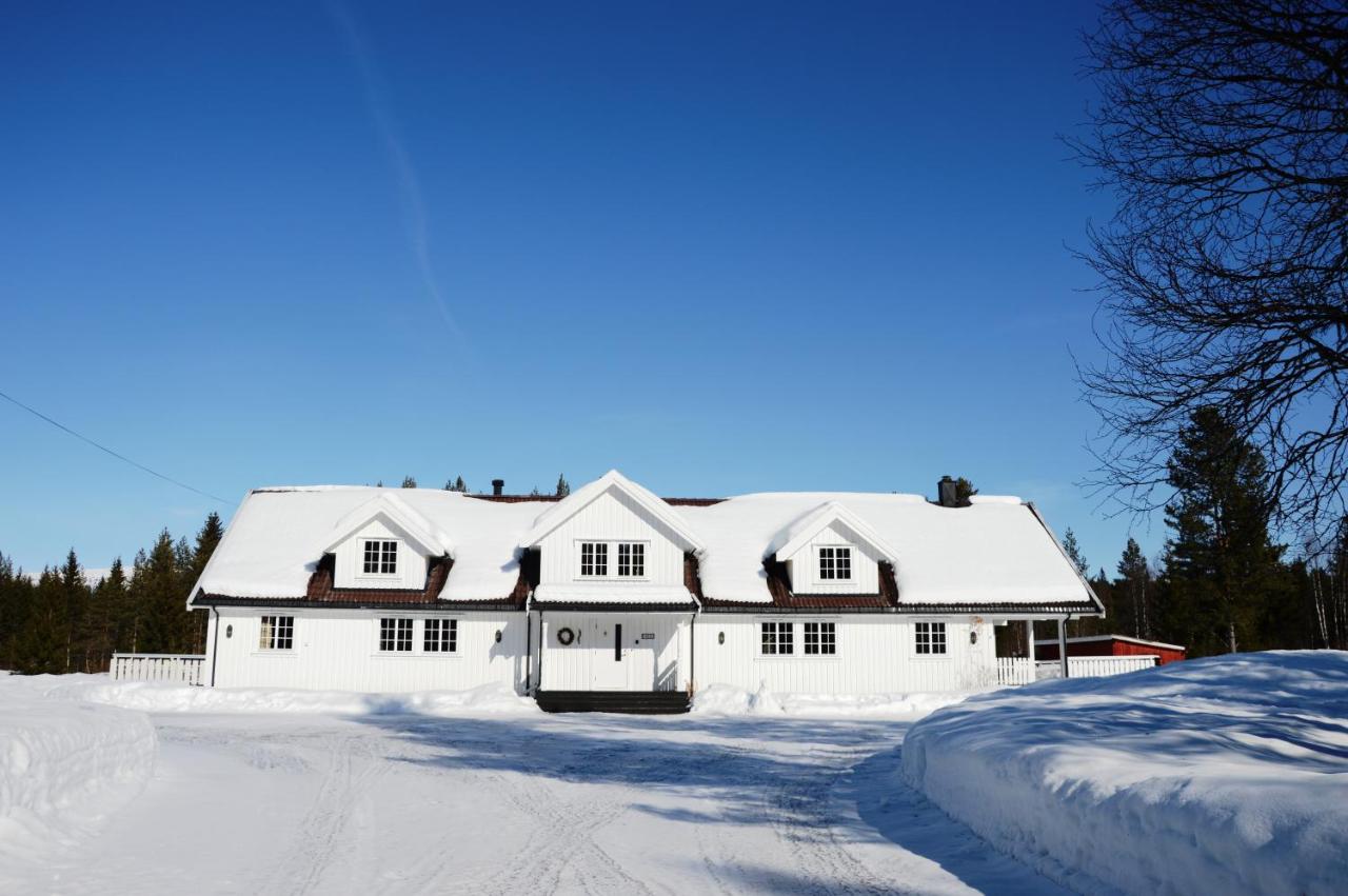 Winter at Fulufjellet National Park Lodge - Ferienwohnung Ljørdalen
