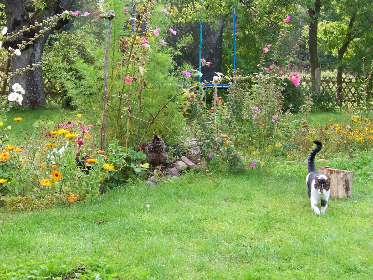 Appartement met Terras