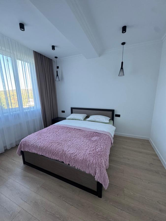 Dimo 13 - Bed and Breakfast Chisinau