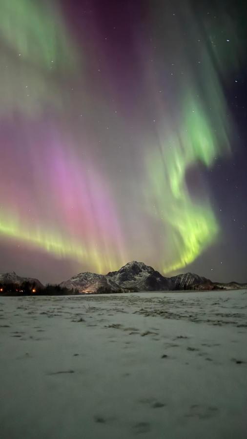 Luxury Rooms on a Budget with a Secret Aurora Spot - B&B Leknes