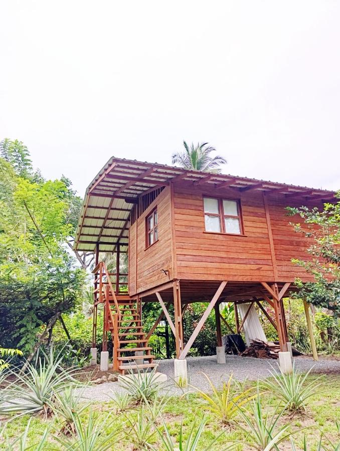 La tarima del colibri Ecolodge - B&B El Valle