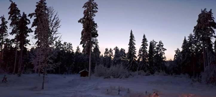 15 - Cabins at Fulufjellstunet - Winter Wonderland - Snow and Nature in Norway - Ferienwohnung Ljørdalen