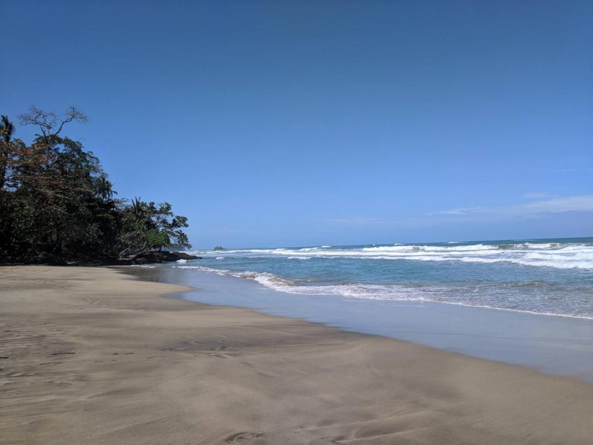 Caribbean Alchemy 3-5p Playa Cocles - Bed and Breakfast Cocles