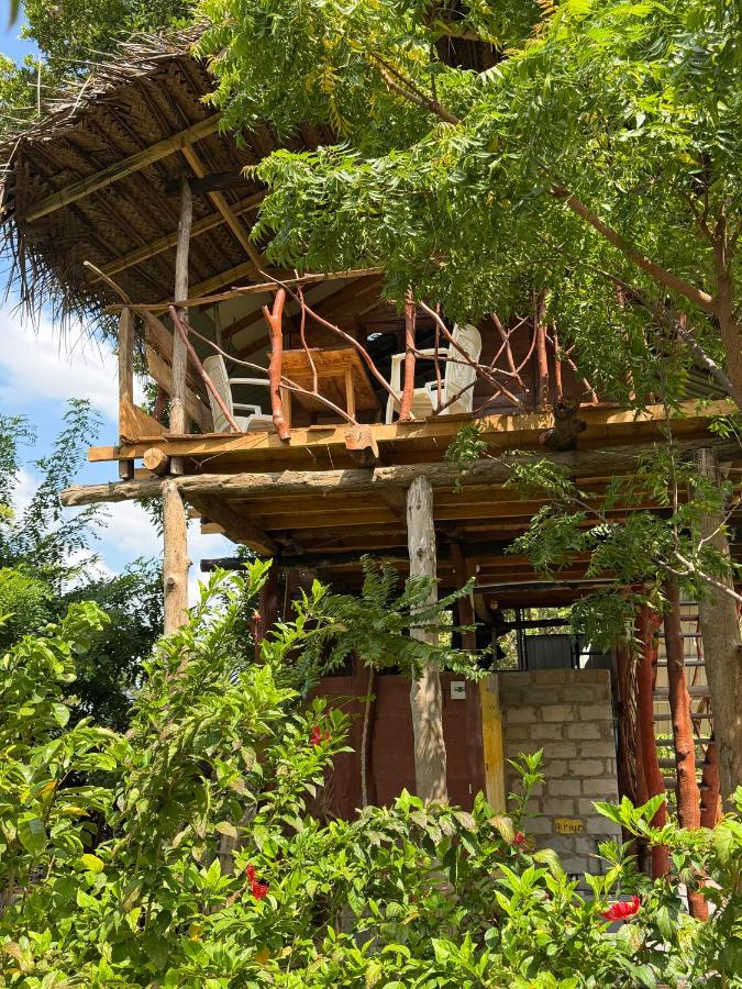 Farming Tree House - B&B Sigiriya
