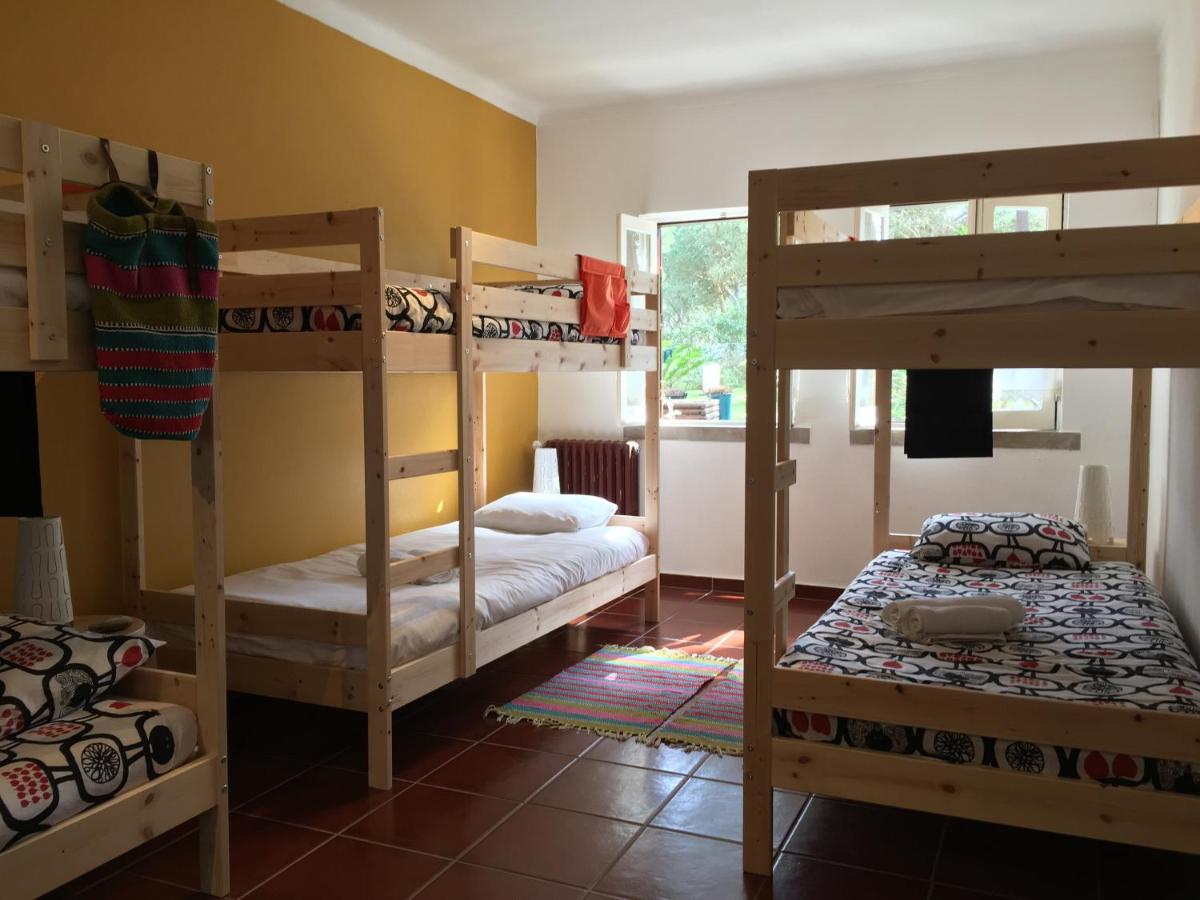Bed in 6-Bed Mixed Dormitory Room