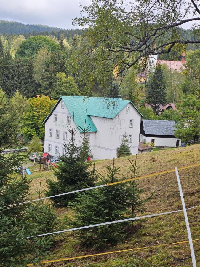 Hamr Apartmány - Bed and Breakfast Nové Hamry