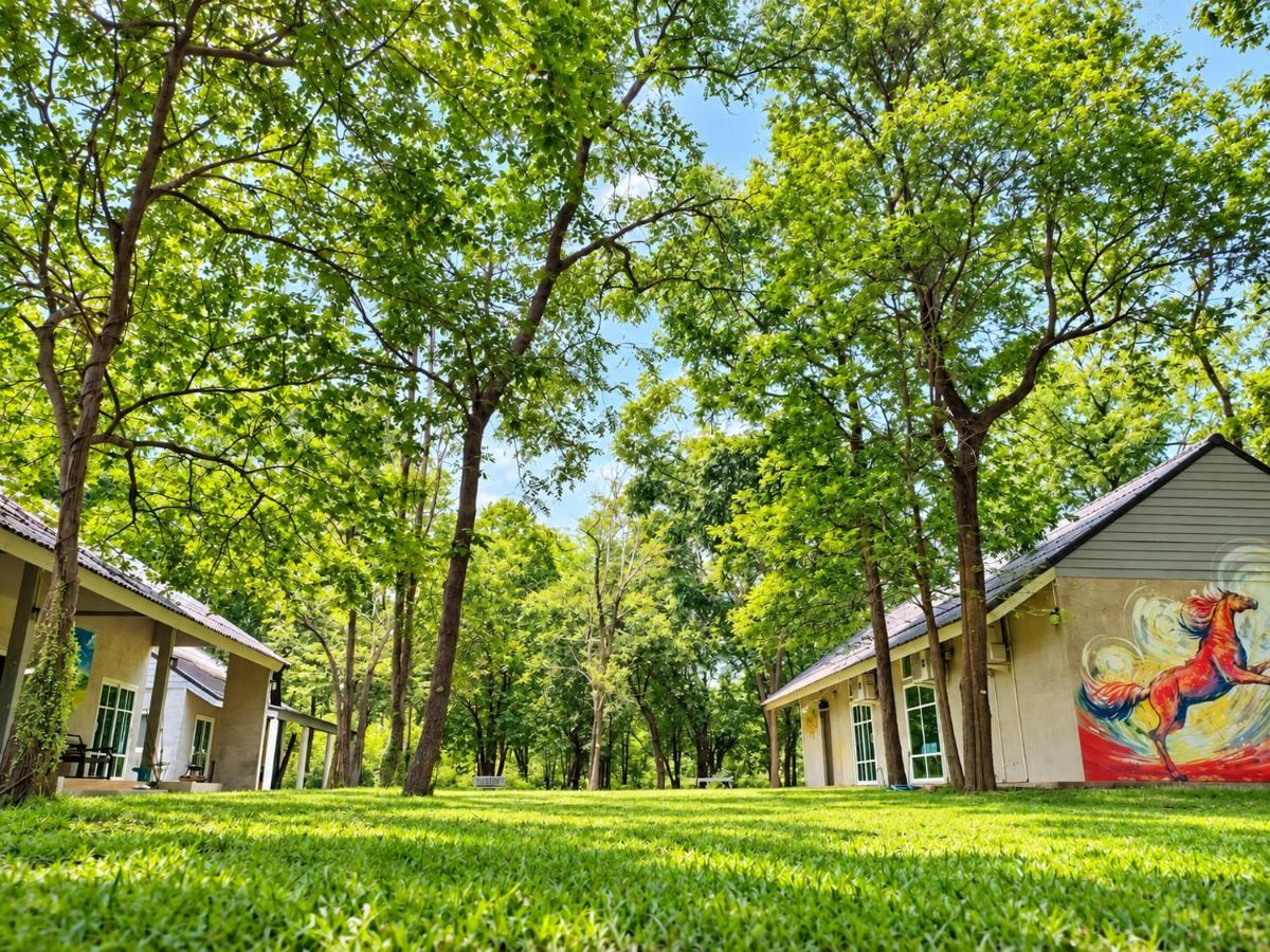 Into the Forest - B&B Ban Huai Talung
