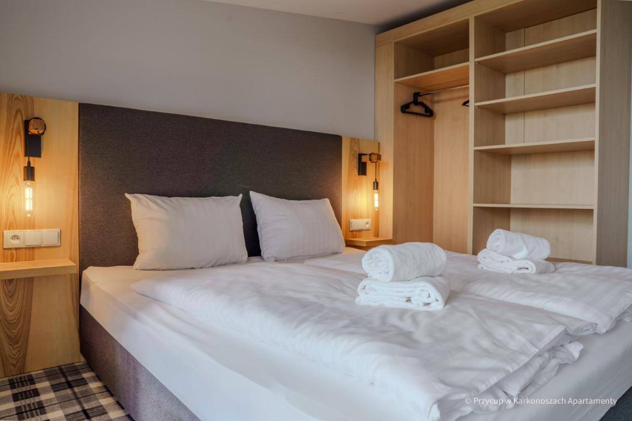 Appartement 1 Chambre avec Balcon et Vue sur les Montagnes 