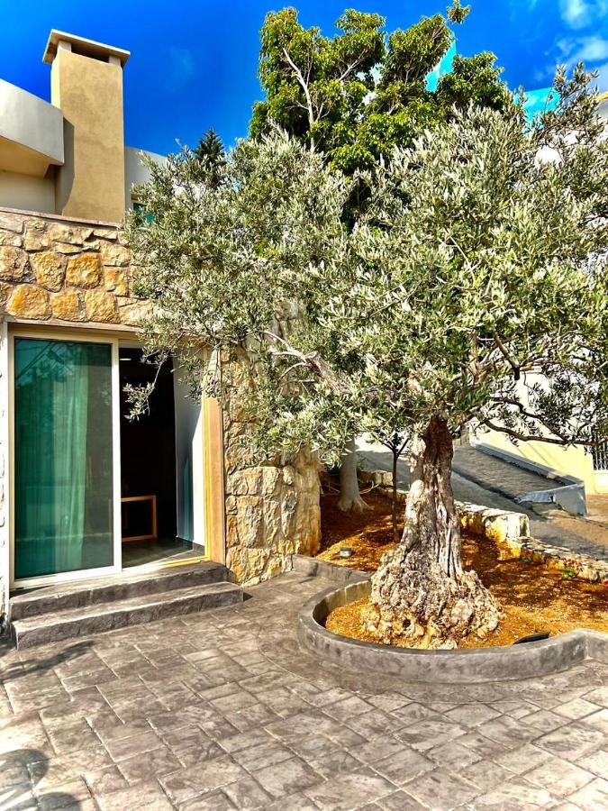 Mario's Guesthouse Batroun - B&B Batroûn