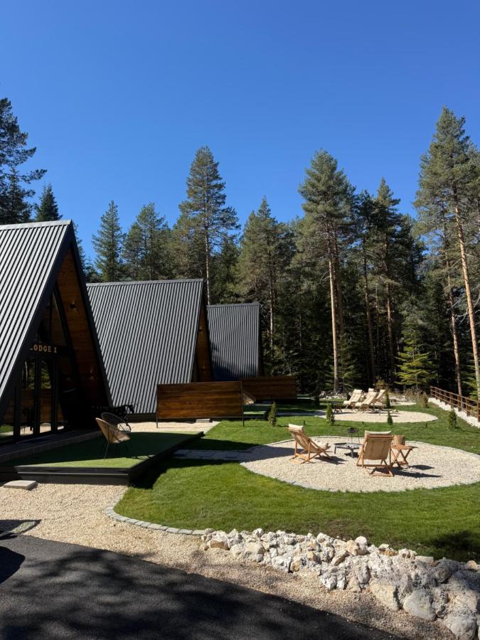 Durmitor forest lodge - B&B Zabljak