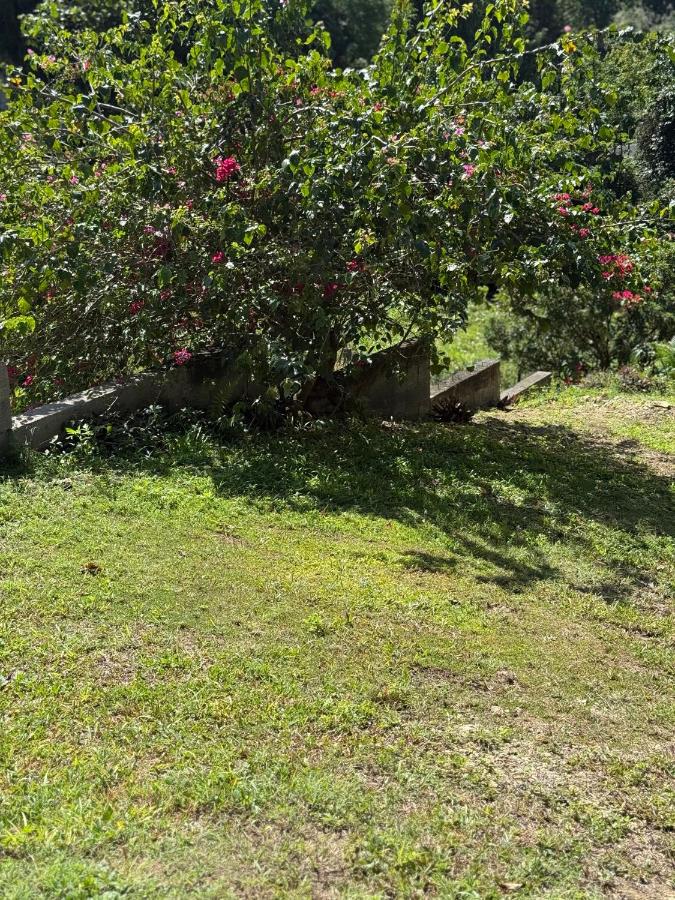 Villa Serenity - B&B Les Abymes