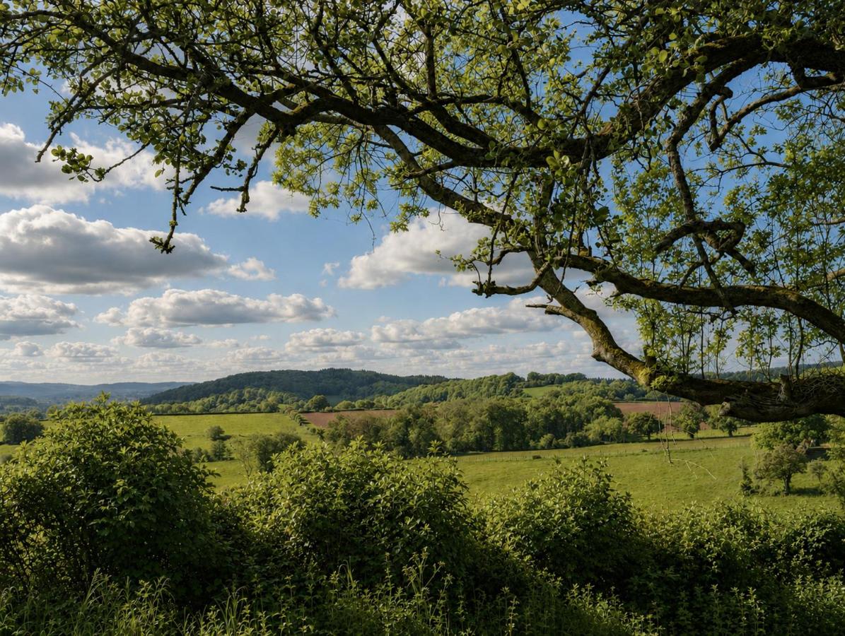 Photo of Caplor Glamping and Lodges