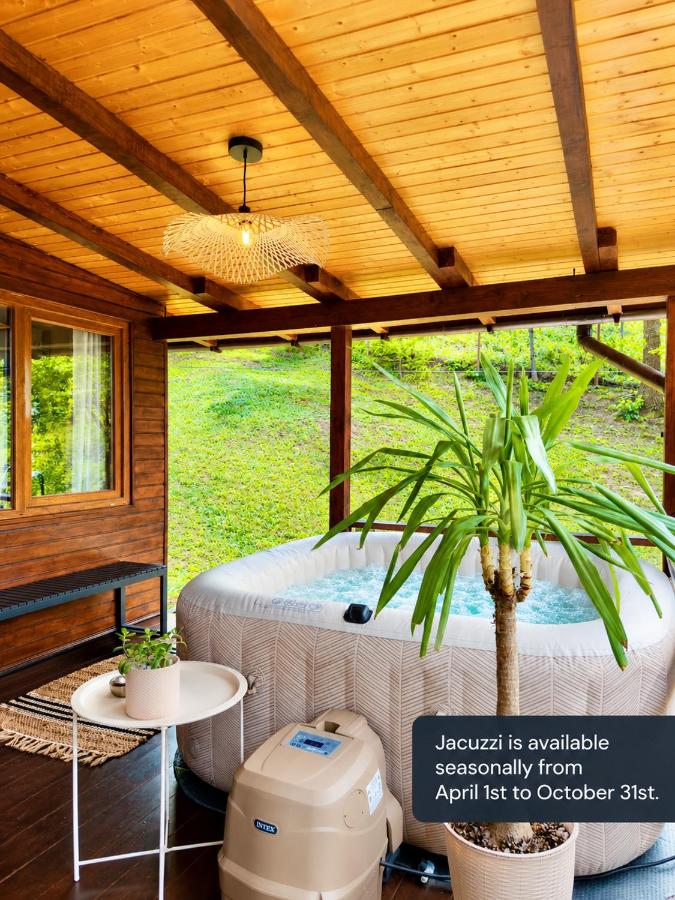 Casa Rogin Chalet - B&B Buhalnița