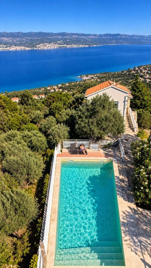 Seaview Villa Anita with Two Apartments and private Pool - Ferienwohnung Polje
