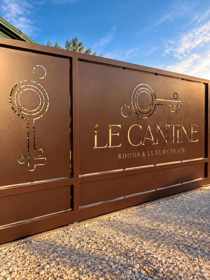 Le Cantine Rooms & Luxury Space - Bed and Breakfast San Mango Piemonte