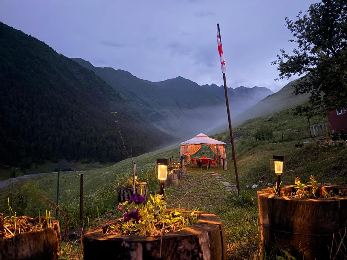 Pirikiti - B&B Dartlo