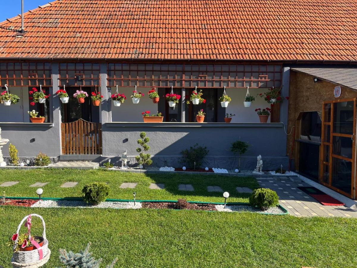 Cabin with Panoramic View of the Vălișoara Gorge - B&B Vălișoara