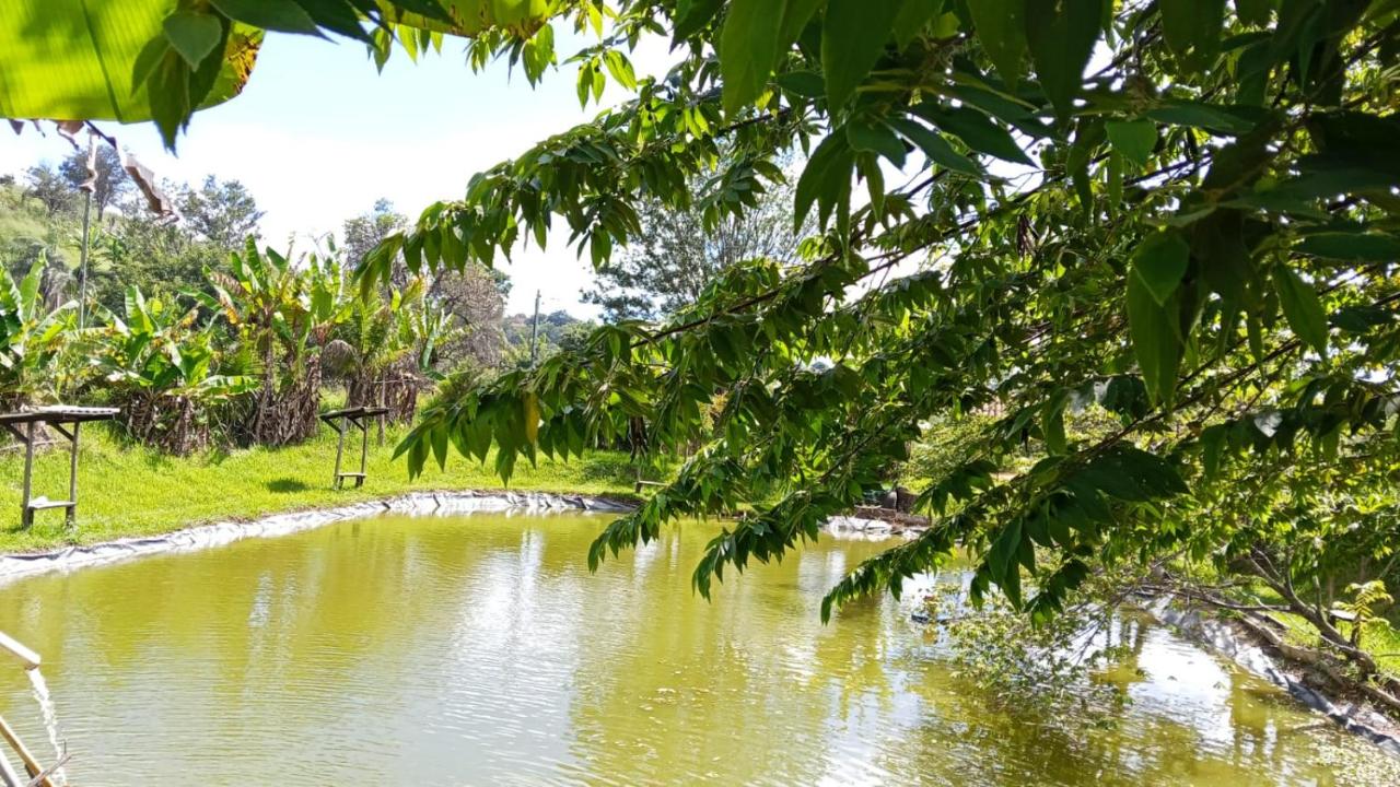 Chalé Recanto da águia guerreira - B&B Esmeraldas