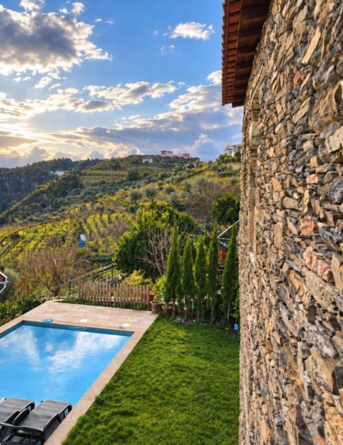 Refúgio no Douro - B&B Nogueira