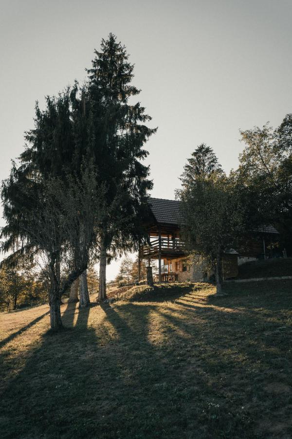 Mini Ranch Protulipa - B&B Gradišće