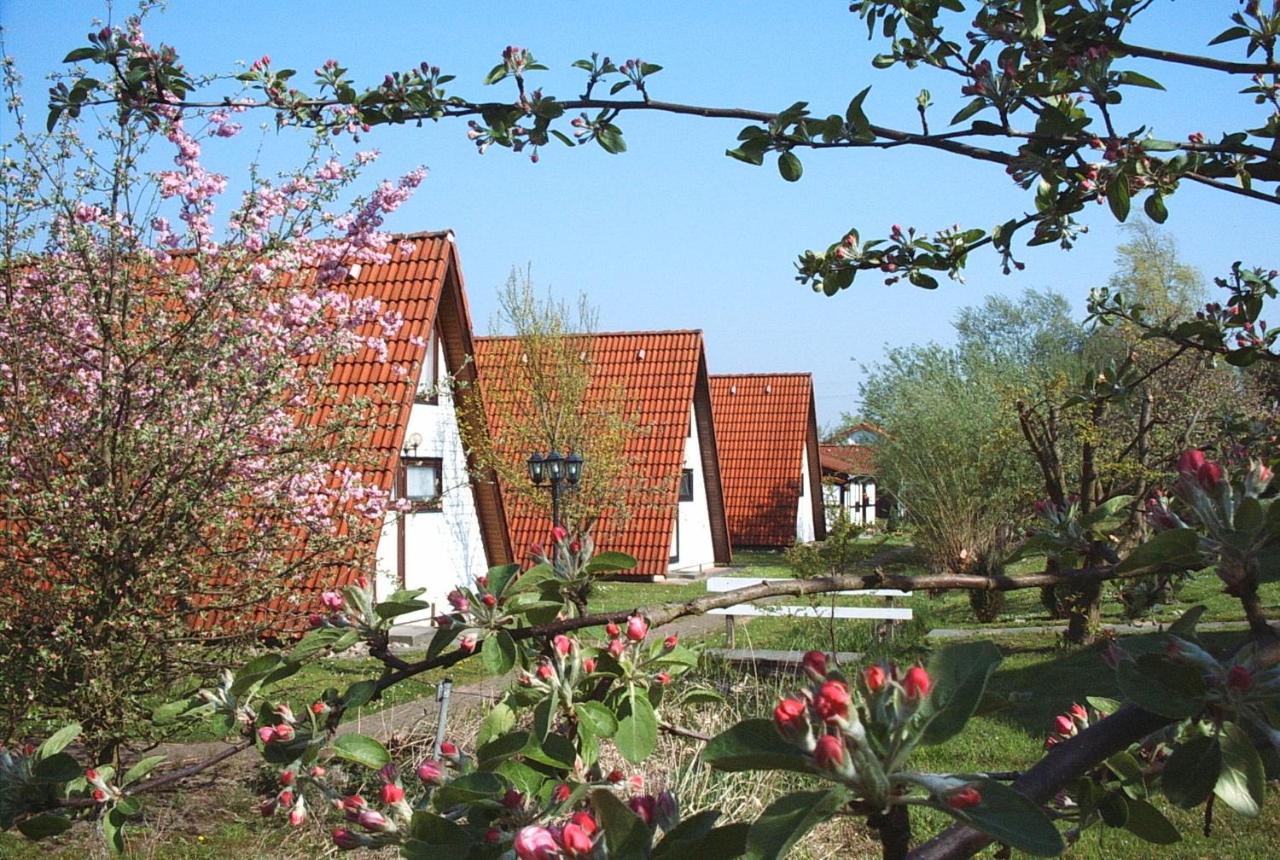 Ferienhaus Wigwam im Feriendorf Altes Land - B&B Twielenfleth