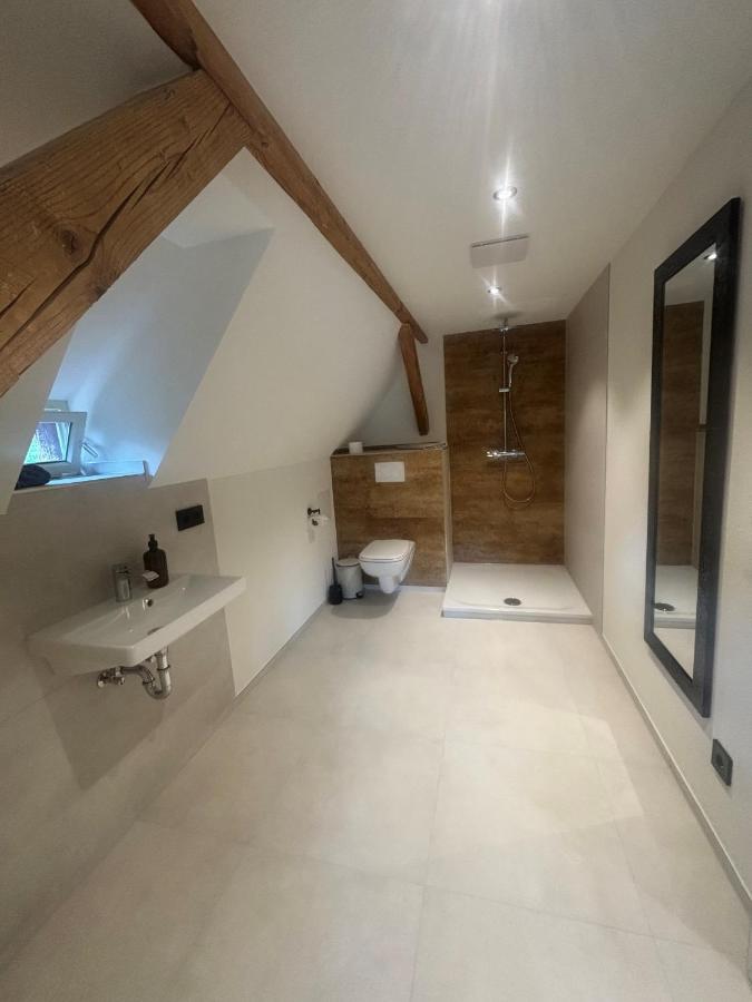 Urlaub im Baudenkmal - frisch saniertes Loft für zwei Personen - Chambres d'hôtes Feldberg