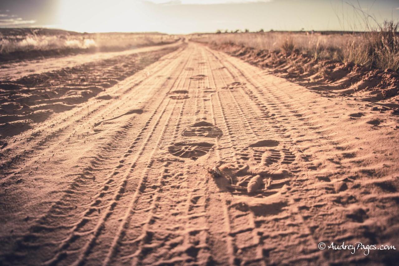 Traditional Navajo Hogan (1)