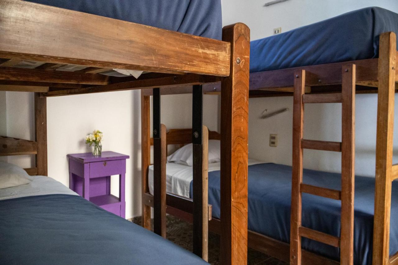 Bed in 4-Bed Dormitory Room