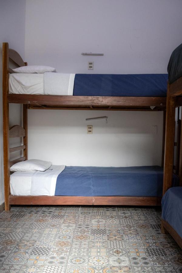 Bunk Bed in Mixed Dormitory Room