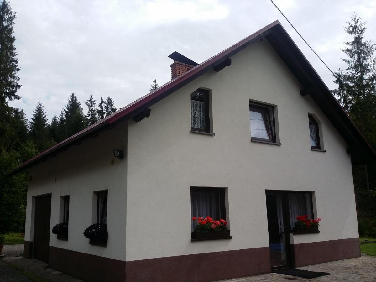 KÓŃSKO SIGŁA - B&B