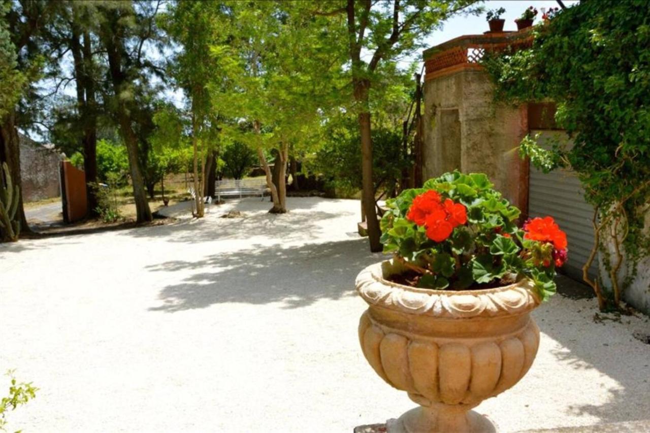 Villa Bonaccorso Casale-Splendida villa immersa ne - Ferienwohnung Viagrande