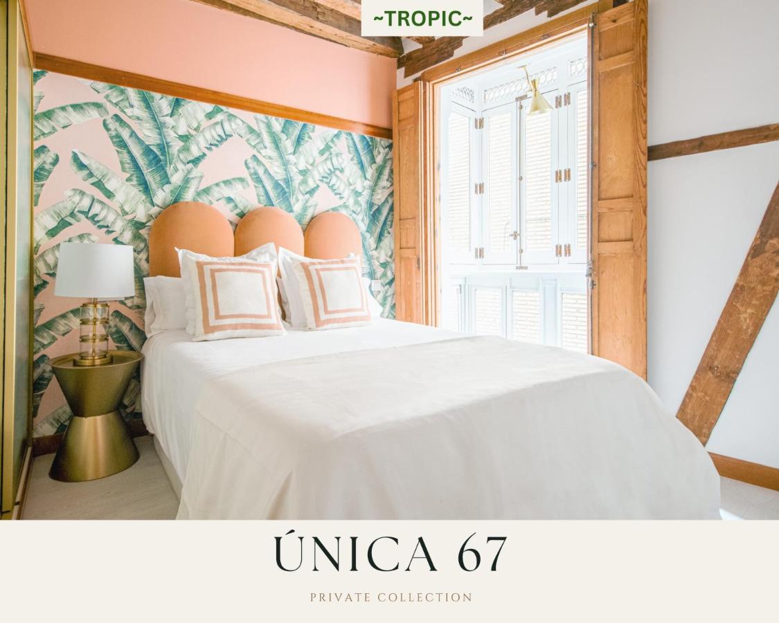 TROPIC by Unica67, diseño junto a la Catedral - Bed and Breakfast Toledo