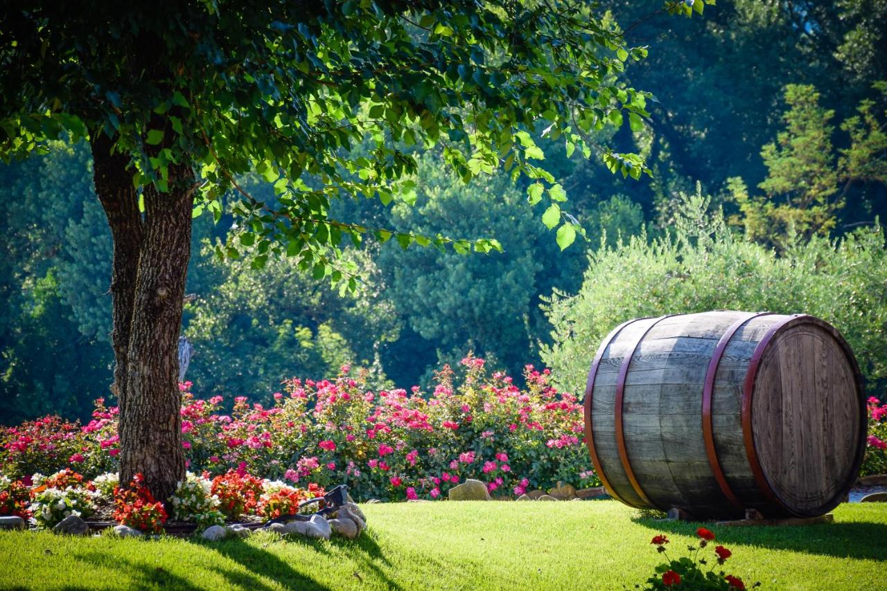 Agriturismo Mariotti Vite Maritata - Chambres d'hôtes Calcinelli