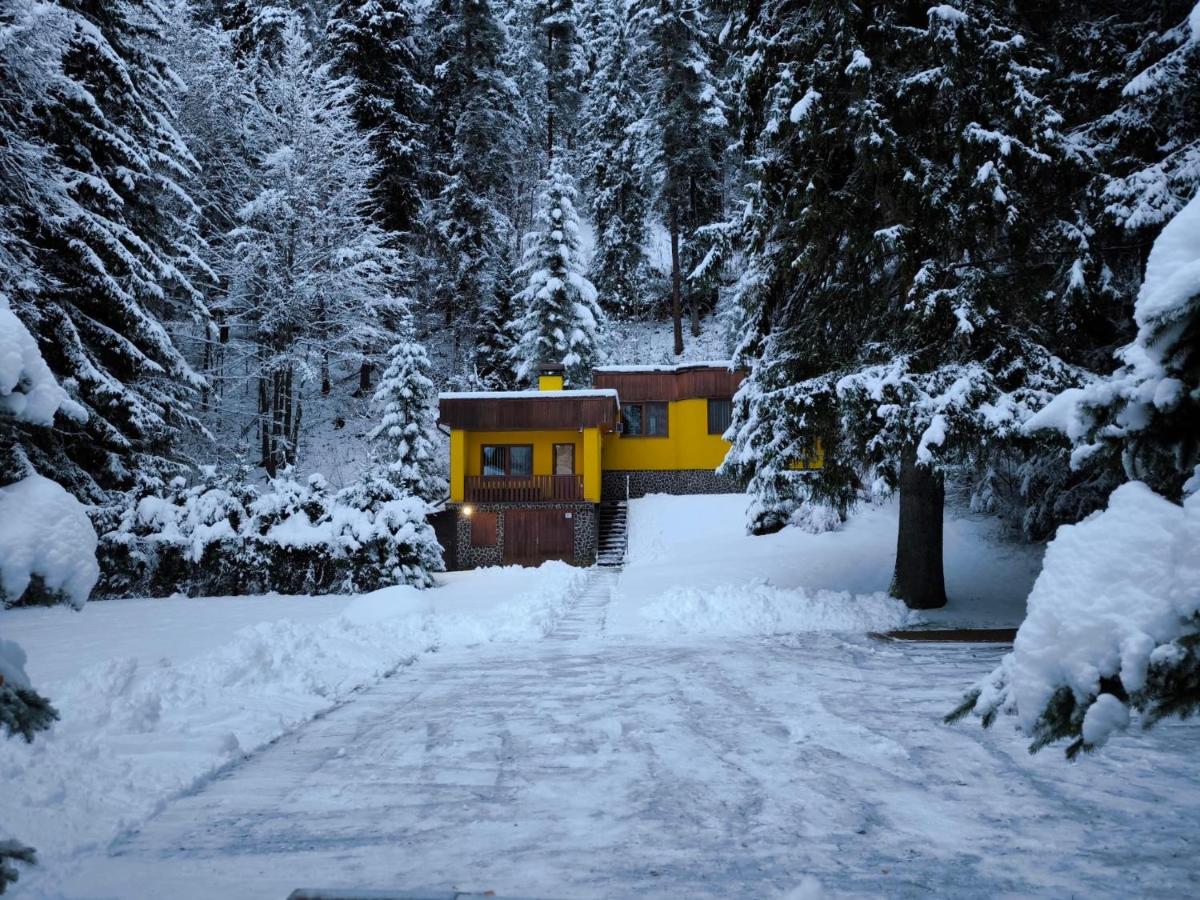 Chata Monika Demänovská Dolina Jasná - B&B Demänovská Dolina