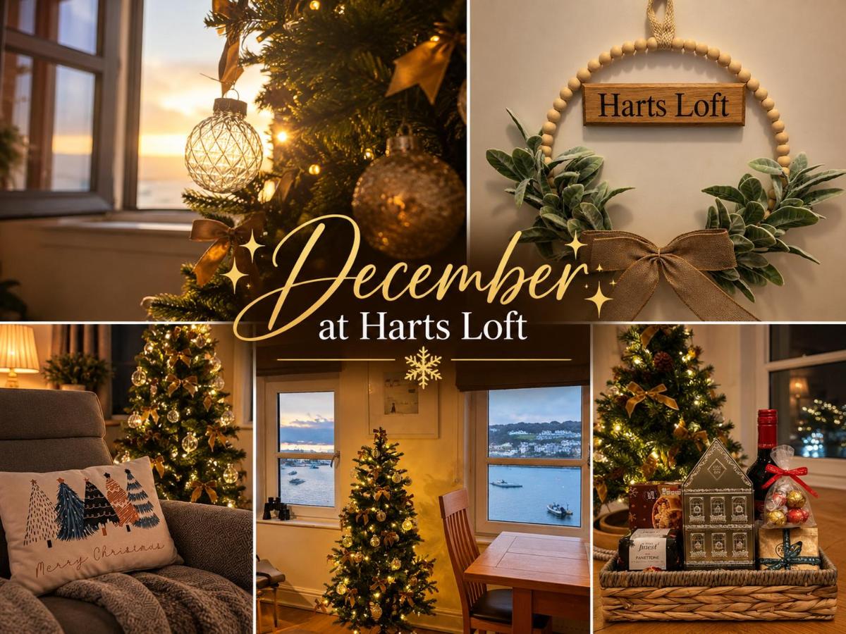 Harts Loft - On Beach - Panoramic Sea Views - By Harbour - Chambres d'hôtes St Ives