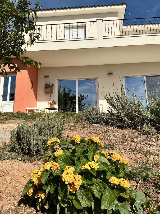 Horizon House inside Olive Grove & Vineyard Εtsate! - B&B Amarynthos