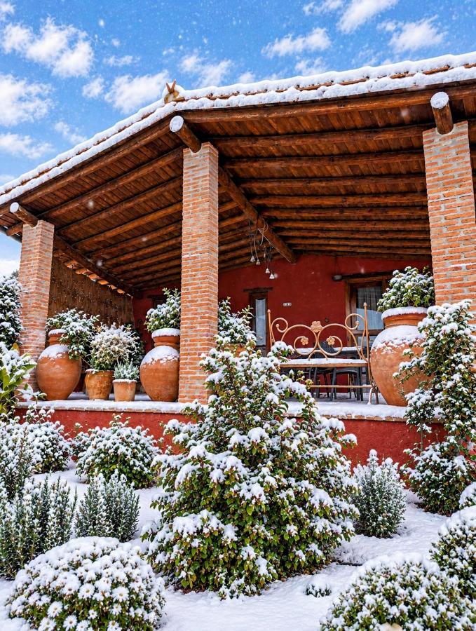 Casa El Descanso Del Peregrino - B&B Guadalupe