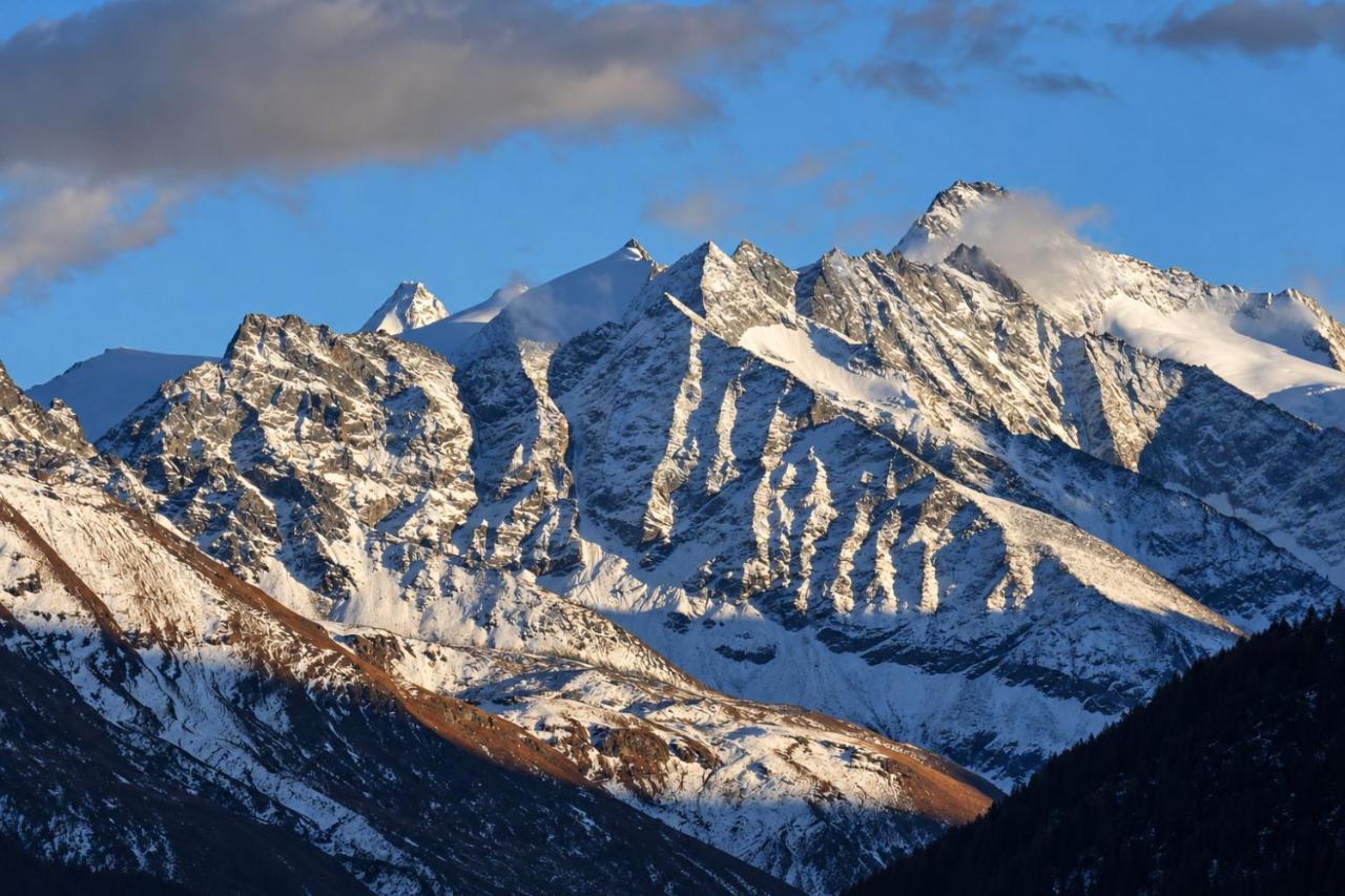 Narnia SKI IN & SKI OUT chalet 14 pers - B&B Les Collons