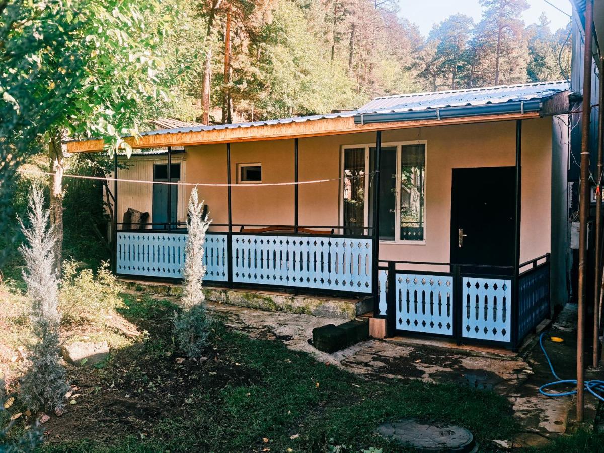 Sunny House in Abastumani - Ferienwohnung Abastumani